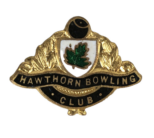 Enamel pin badge - enamel,